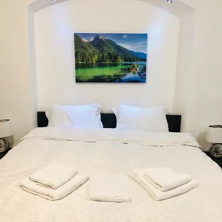 Joy Spacious Brasov
