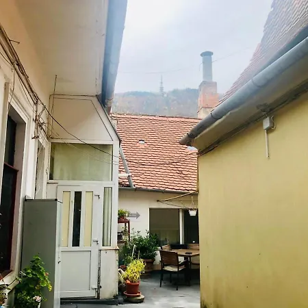 Apartment Joy Spacious Brasov