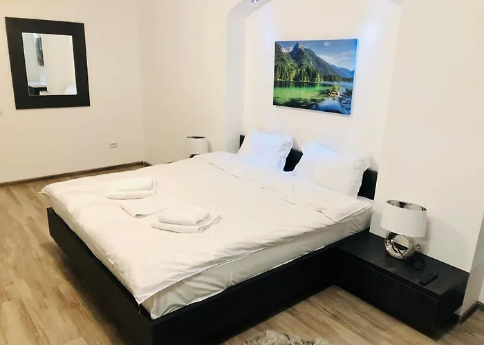 Joy Spacious * Brasov