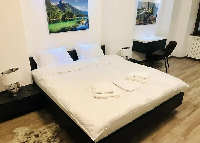 Joy Spacious Apartment Brasov